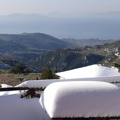 Milies House | A Second Home for Perky Roses, at Milies, Pelion, Volos Greece