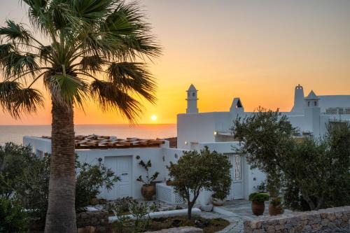 Kamari Hotel | Anema Boutique Hotel & Villas Santorini