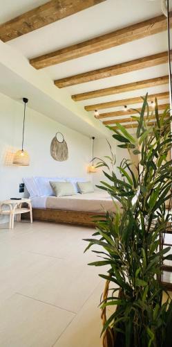 Nikiana Apartment | athilia