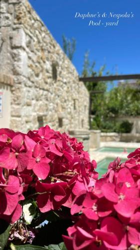 Corfu Town Apartment | Carpofoli Corfu