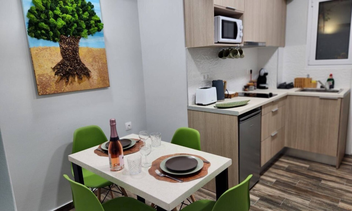 Omonia Apartment | Central area of Athens, two bedroom Cozy Apartment with garden and terrace