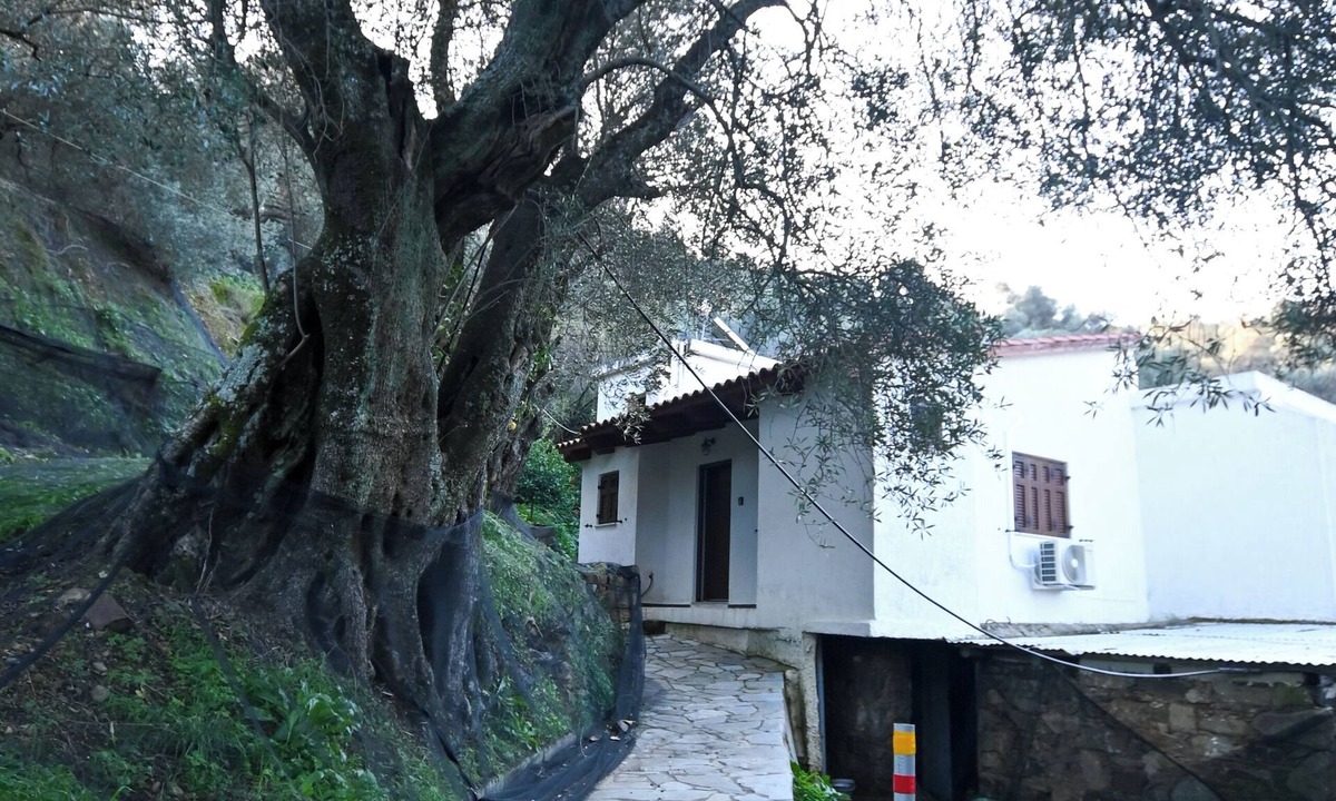Plemeniana House | Chania Hillside 2BD Home – Nature & Comfort by ΜΡS