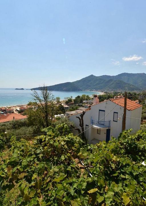 Chrisi Ammoudia Apartment | Chrysi Ammoudia Studio 2 - Sea View Studio with A/C, only 300 Meters from the Beach ! - Free WiFi