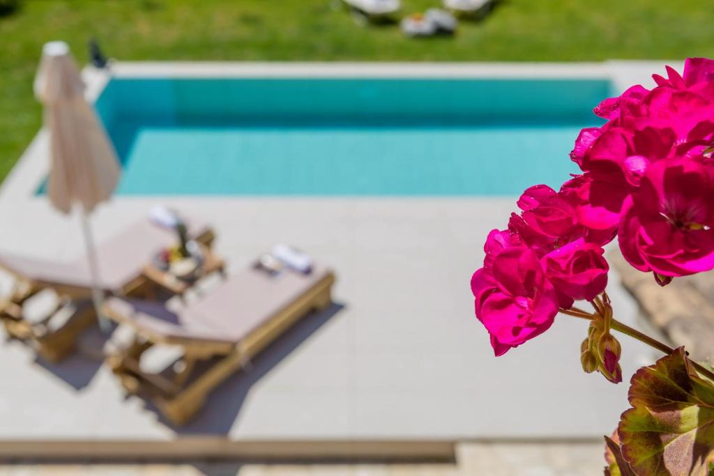 Alepou House | Corfu Town Garden House