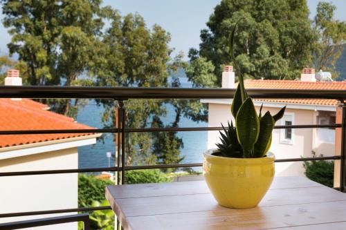 Karavomylos Villa | Deluxe Kefalonia Apartment Apartment Hyacinth 1 Bedroom Pool