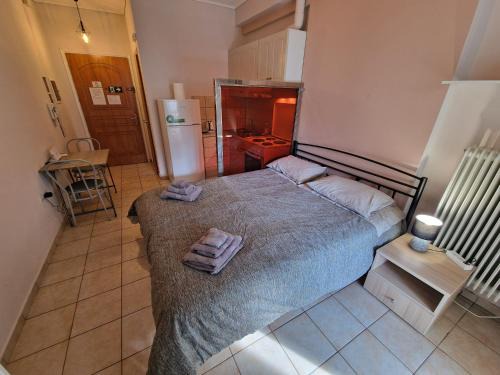 Ioannina Apartment | Diana's Cozy 2 Studio