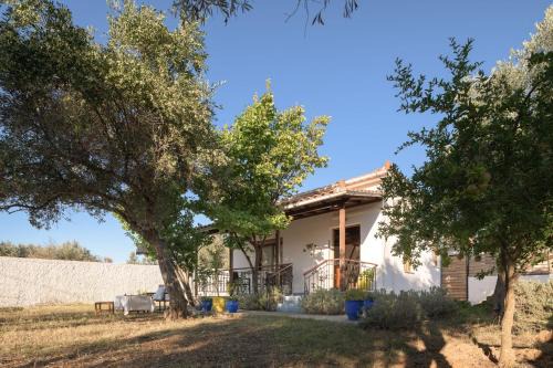 Skiathos House | Eleni's Cottage, for Natural Living, By ThinkVilla