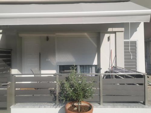Kavala Apartment | Elia Home