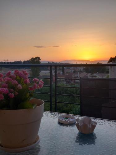 Alepou Apartment | Fox's Sunshine