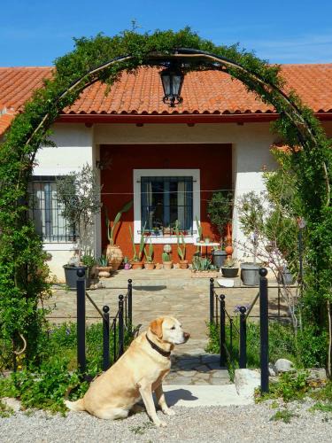 Aliartos Hotel | Helicon Muses Friendly Mountain B&B Guesthouse
