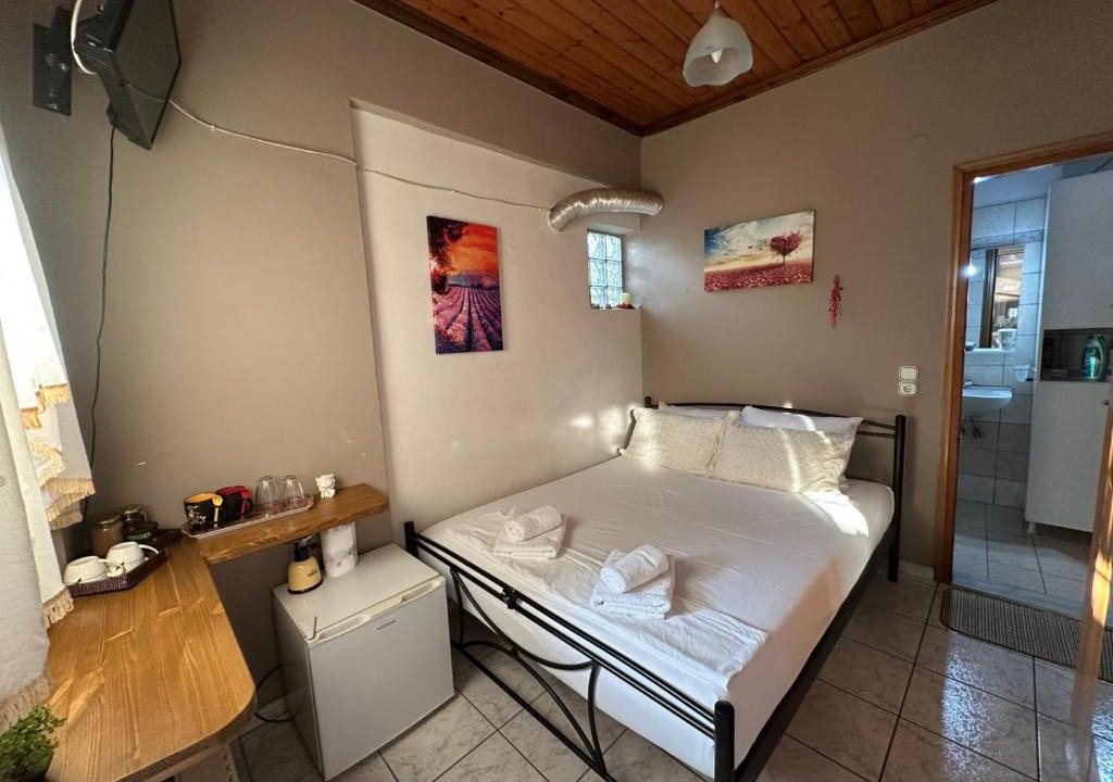 Konitsa Apartment | Lenitsa's House