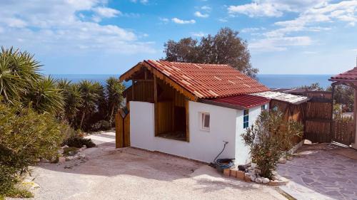 Lentas House | Leondario