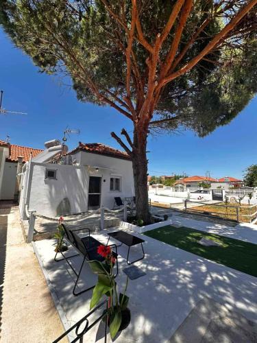 Nea Koutali House | Limnos Twin Pine
