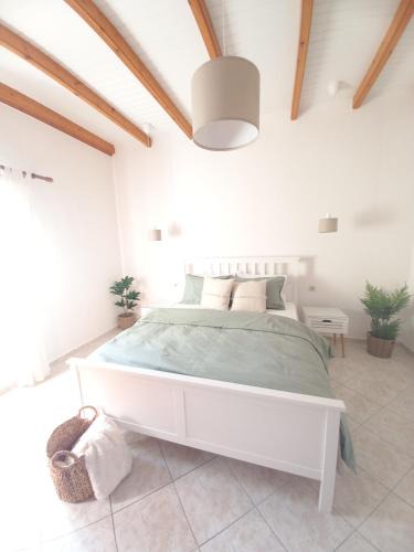 Ipsos Apartment | Manolia Apartments