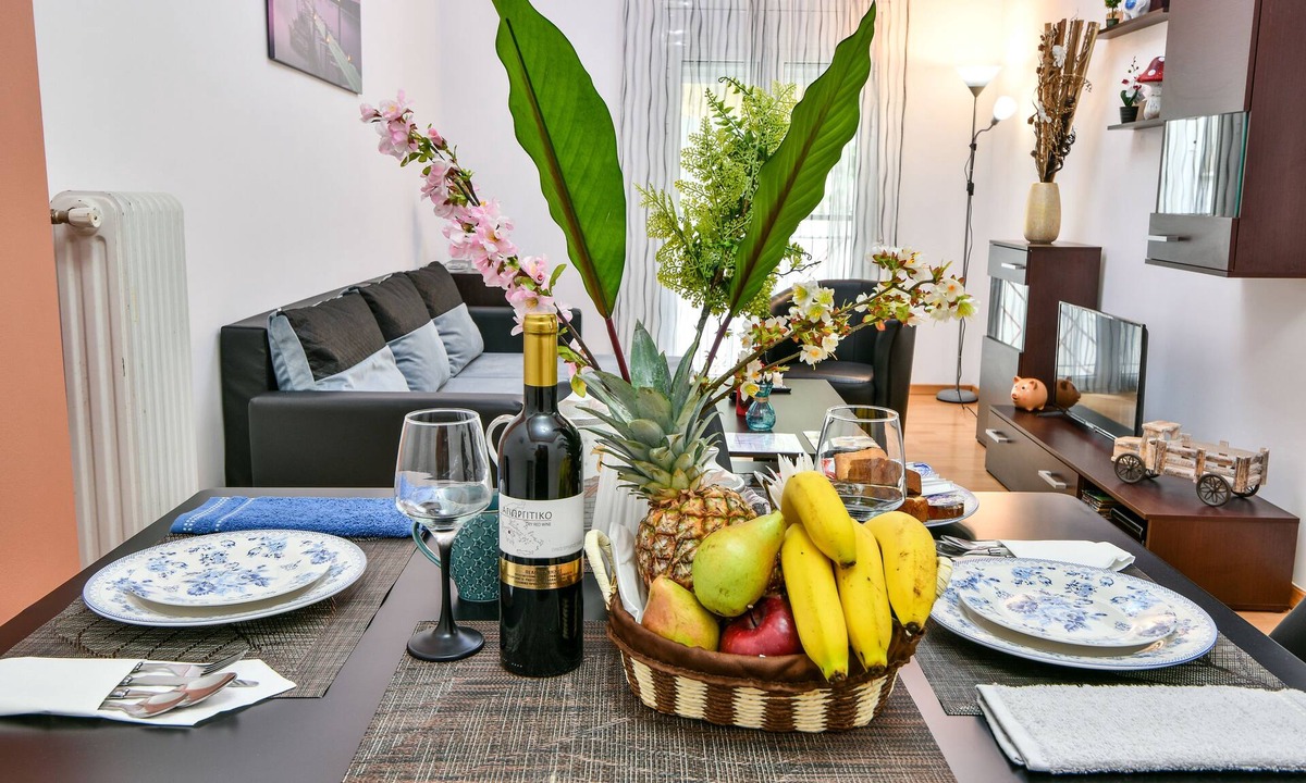 Athens Apartment | Manolitos apartments 5