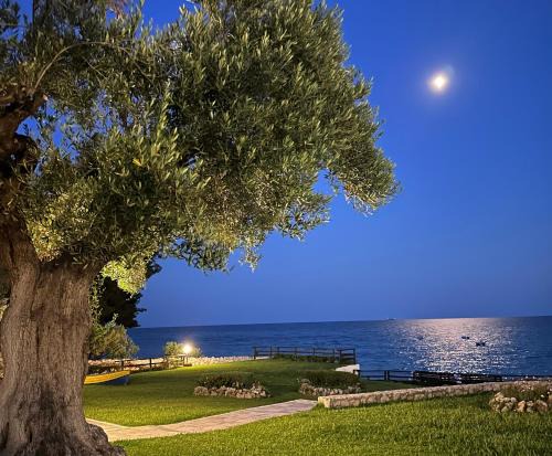 Mola Kalyva House | Mola Kalyva SeaView Mesidrili