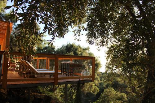 Pentati Other | Nature Habitat and Artistic Room