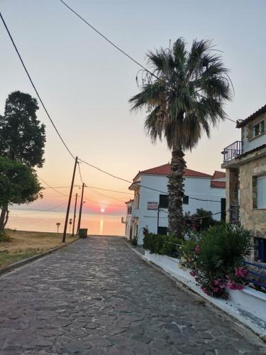 Mytilene Apartment | Oasis