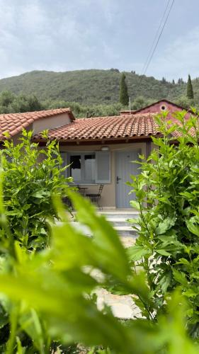 Ipsos Apartment | Olga's Sea & Garden View Studios, 400m from Ipsos Beach
