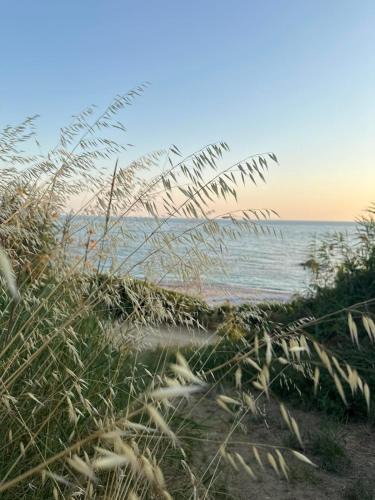 Zalongo House | Olive House Seaside