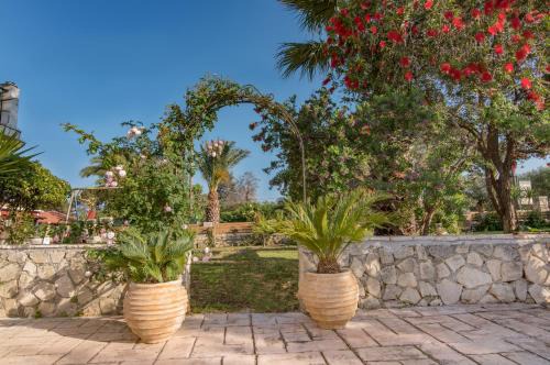 Pantokratoras Apartment | Olive Tree Apartment