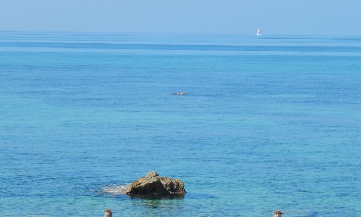Preveza House | Palmina Mare Villa and Studios