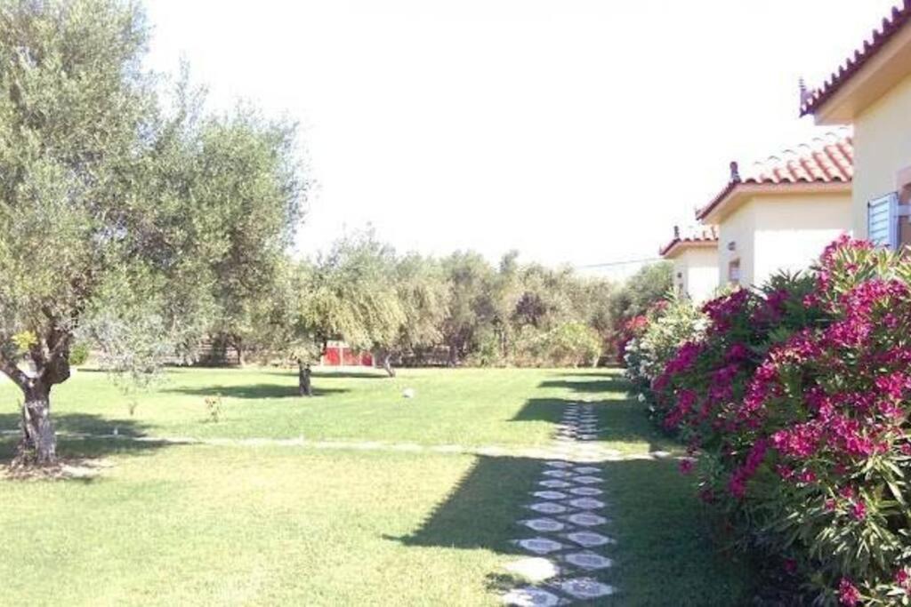 Kakovatos House | Phyllida Guest House - A2