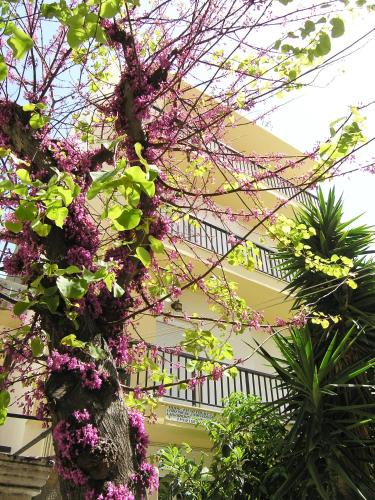 Ierapetra Apartment | Popy Apartments
