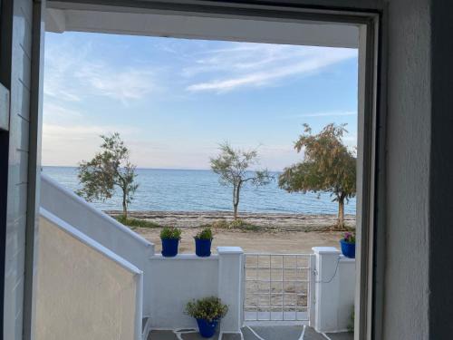 Nea Mesagkala Apartment | Poseidon Street ΝΕΑ ΜΕΣΑΓΓΑΛΑ Γκαρσονιέρα 2