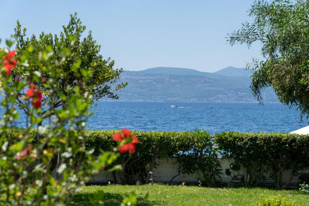 Amarinthos Apartment | Posidonia Pension