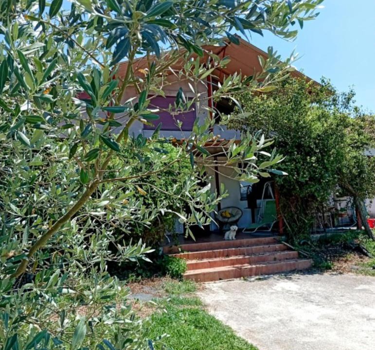 Pamvotida Apartment | Rural hοuse