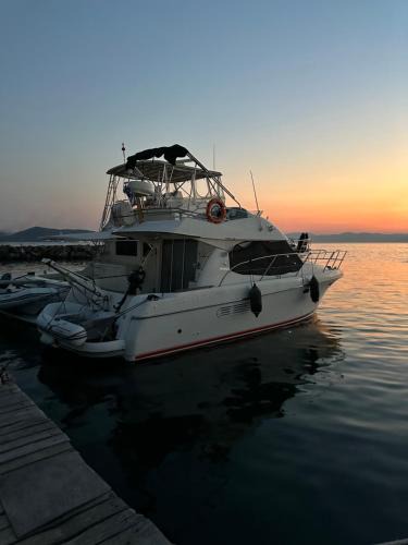 Aegina Town Boat Rental | Solmar Yacht