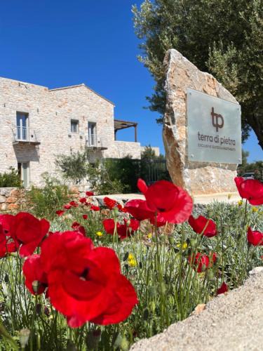 Areopoli Apartment | Terra Di Pietra Exclusive Suites & Apartments