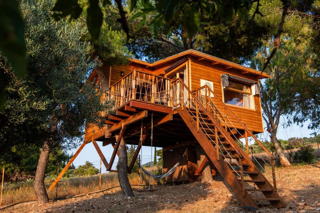 Rio House | the Treehouse Project