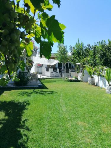 Kolymbari Villa | VILLA DINA (Kalidonia, Chania, Crete 730 06)