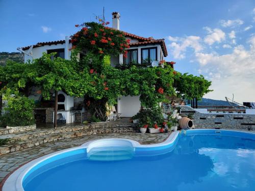 Skiathos Villa | Villa Erifili