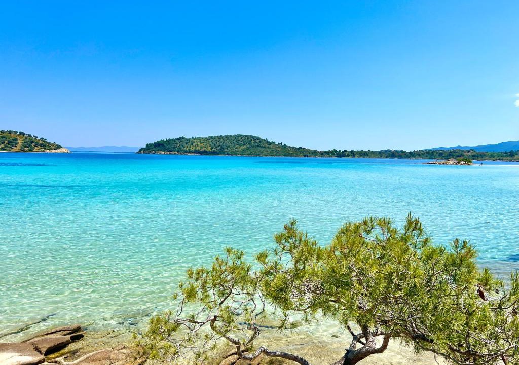 Sithonia Villa | Villa Lagonisi