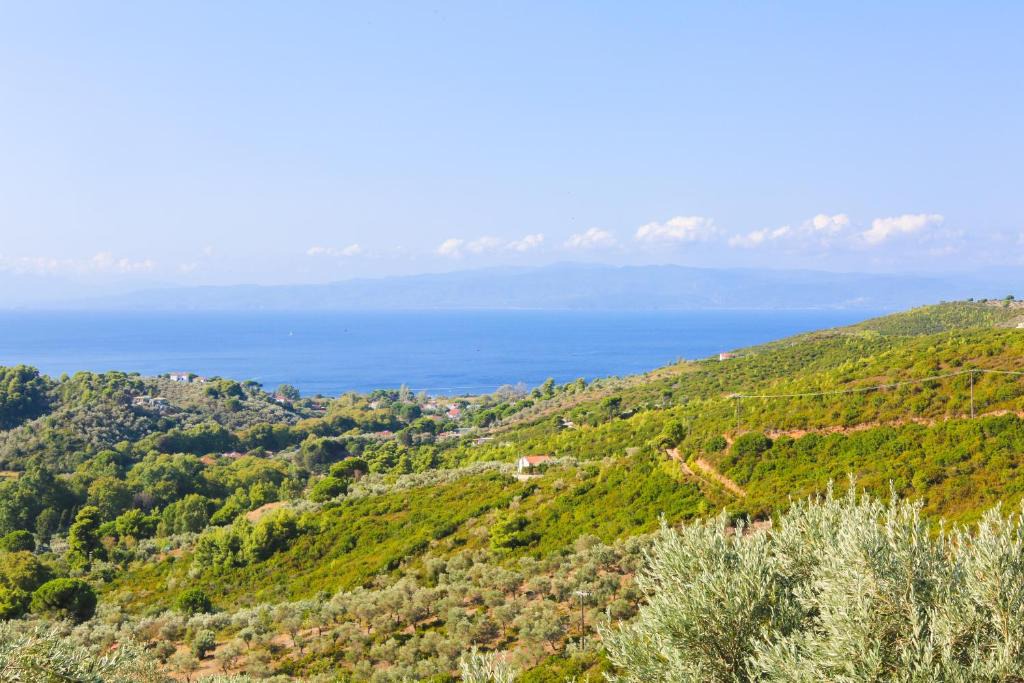 Skiathos House | Villa Marigo