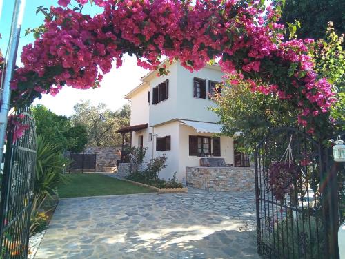 Volos Villa | Villa Natura Olive & Sea
