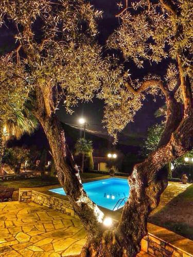 Volos House | Villa Olive