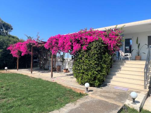 Kato Gouves Villa | Villa Villino Blu by the sea