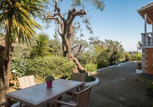 Ipsos Panoramic View