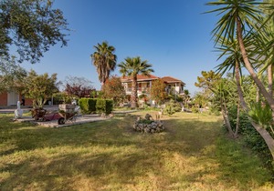 Olive Tree Apartment in zakynthos