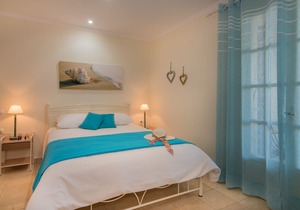 Olive Tree Apartment in Zakynthos