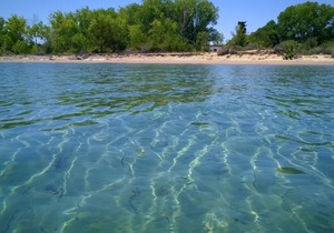 Sea View Apartments On the Sandy Beach On Corfu Island (3) - Newly refurbished