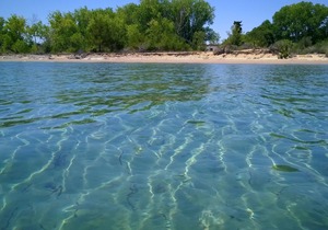 Sea View Apartments On the Sandy Beach On Corfu Island (2) - Newly refurbished