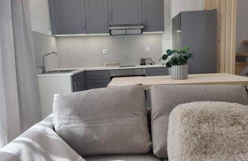 Alepou Apartment | 40 m² Apartment ∙ 1 bedroom ∙ 3 guests