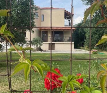 Zalongo House | Κάμπος