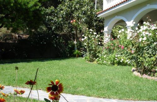 Agios Gordios Apartment | Alexandros Apartments & Studios