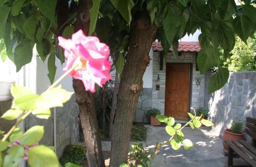 Stavros Hotel | Alexandros Rooms